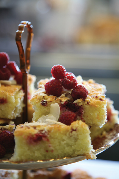 Copyright_SallyGreer_RASPBERRY-&-COCONUT-SLICE_RipeRecipes_Beatnik.jpg