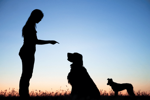 iStock_000015123665Large.gif