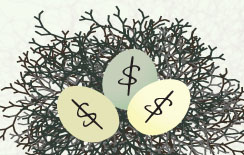 nestegg sm