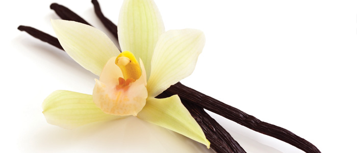 Vanilla-2